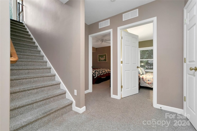 stairs featuring carpet floors and ceiling fan