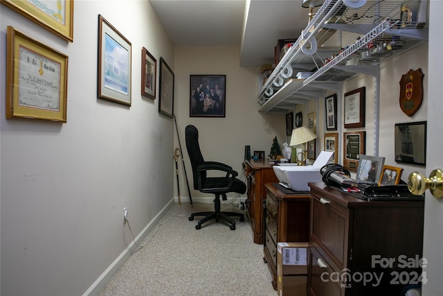 office featuring carpet floors