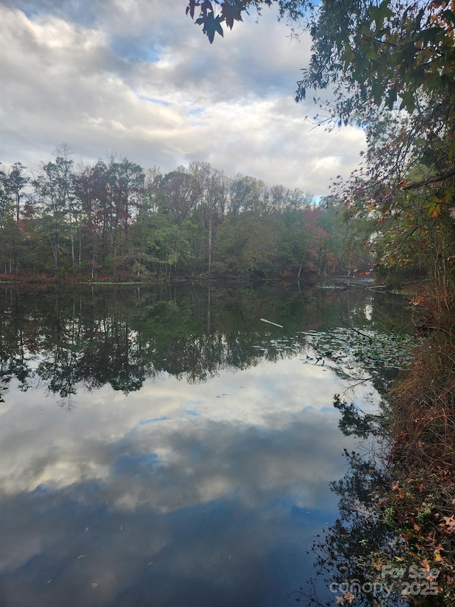 view of water feature featuring a view of trees