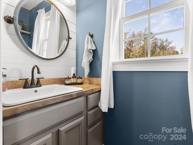 bathroom featuring vanity and a healthy amount of sunlight