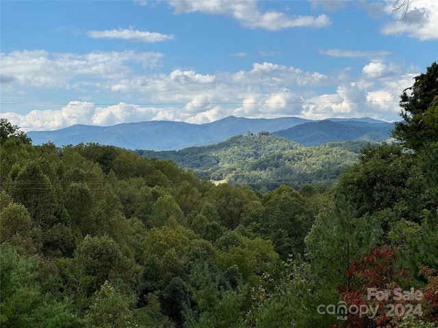 view of mountain feature