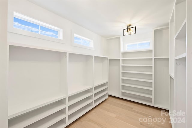 walk in closet featuring light wood-type flooring