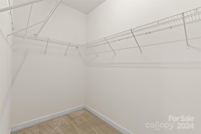 walk in closet with carpet flooring