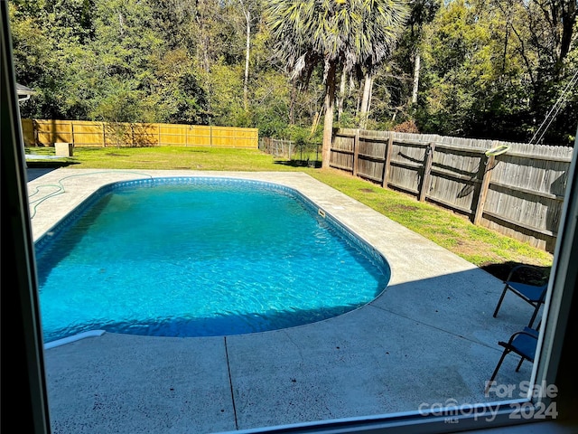 view of swimming pool featuring a patio area and a lawn