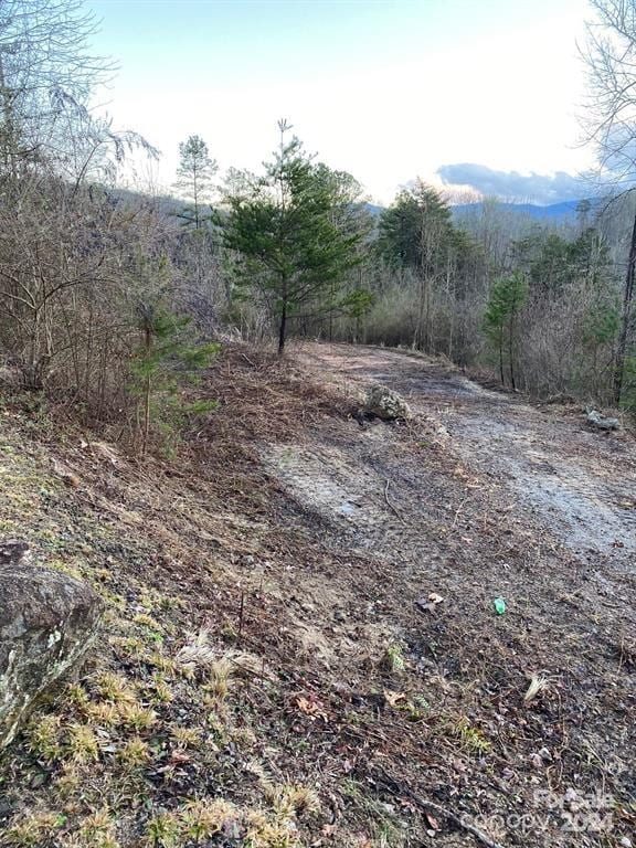 Listing photo 3 for LOT18 Ridgetop Cir, Whittier NC 28789