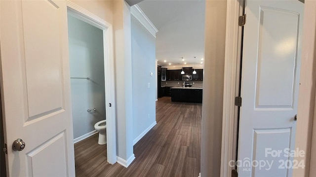 hall featuring dark wood-type flooring