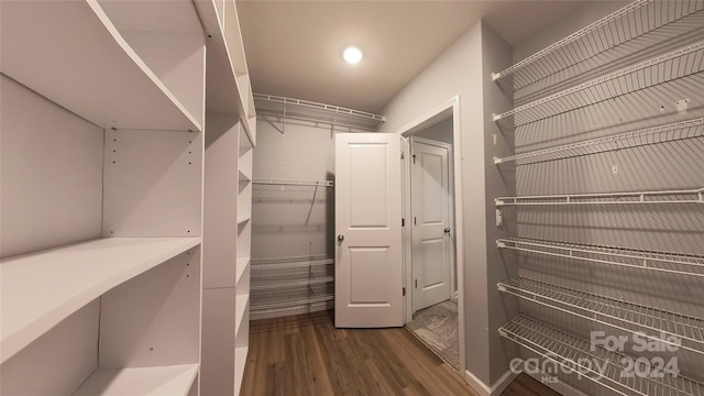 spacious closet featuring dark hardwood / wood-style flooring