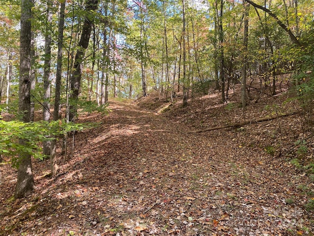 Listing photo 3 for TBD Potts Rd, Franklin NC 28734