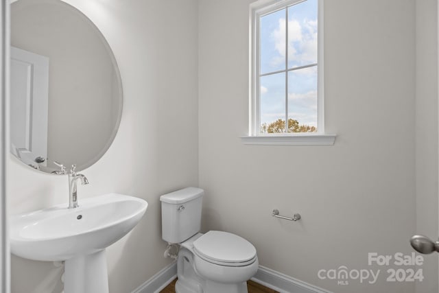 bathroom with toilet, sink, and a healthy amount of sunlight