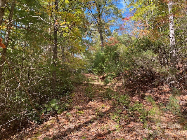 Listing photo 2 for TBD N Blaine Branch Rd, Franklin NC 28734