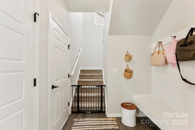 bathroom with wood-type flooring