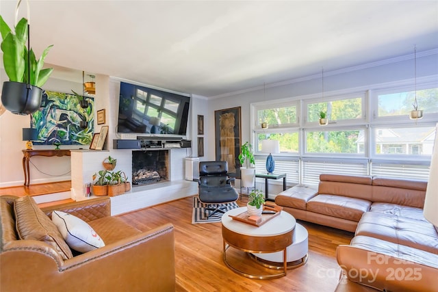 1166 Montford Dr, Charlotte, NC 28209 - living area with crown molding, wood finished floors, and a fireplace