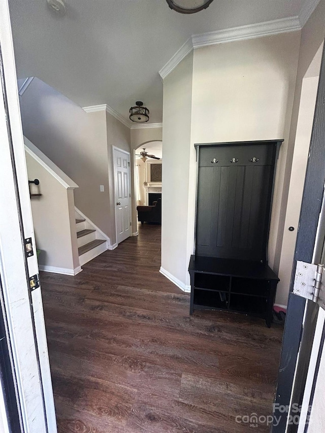 entryway with crown molding, ceiling fan, and dark wood-type flooring