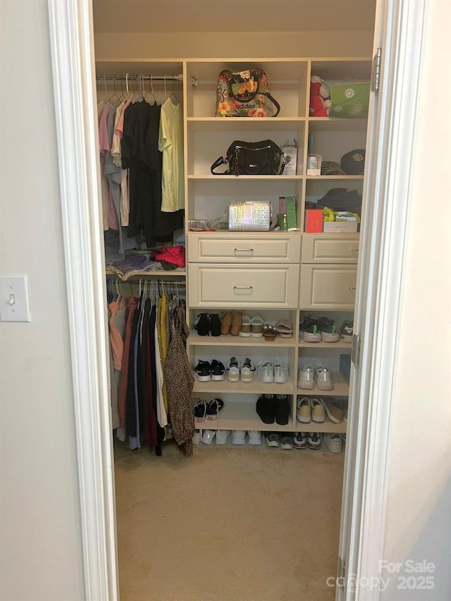 view of closet