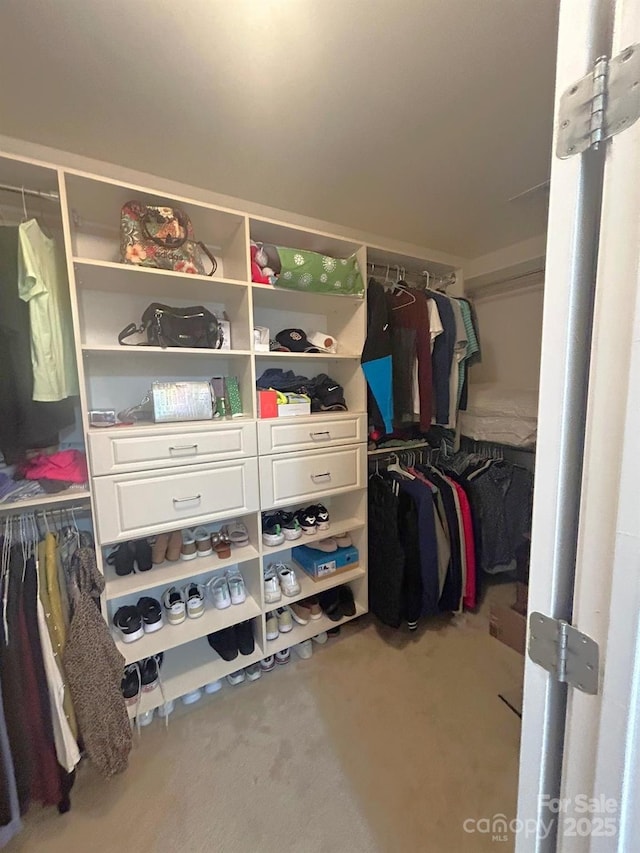 spacious closet with carpet flooring