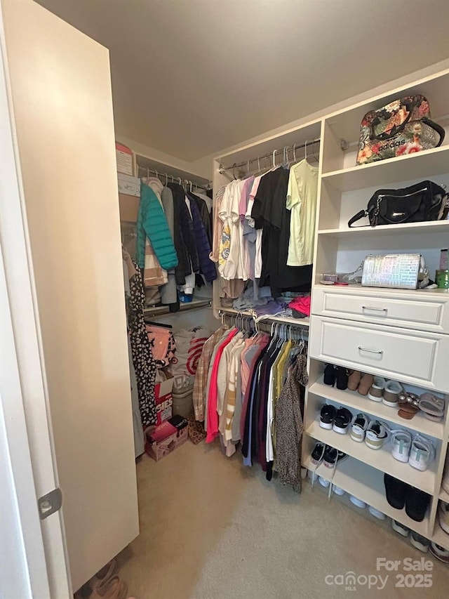 spacious closet featuring light colored carpet