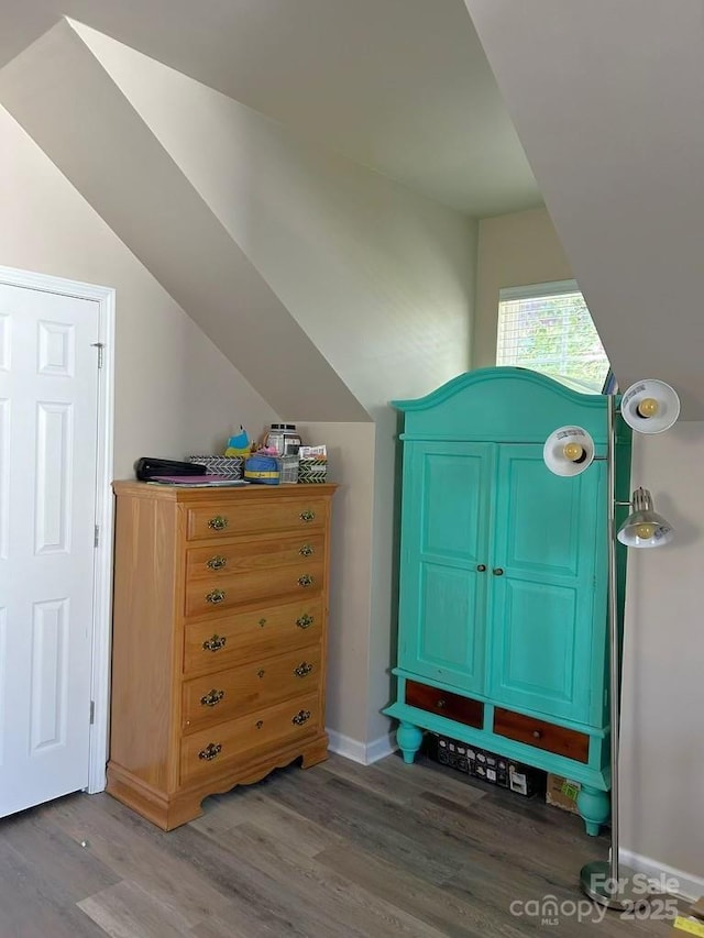 additional living space featuring hardwood / wood-style floors and vaulted ceiling