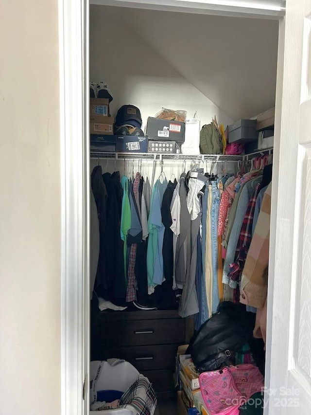 view of walk in closet