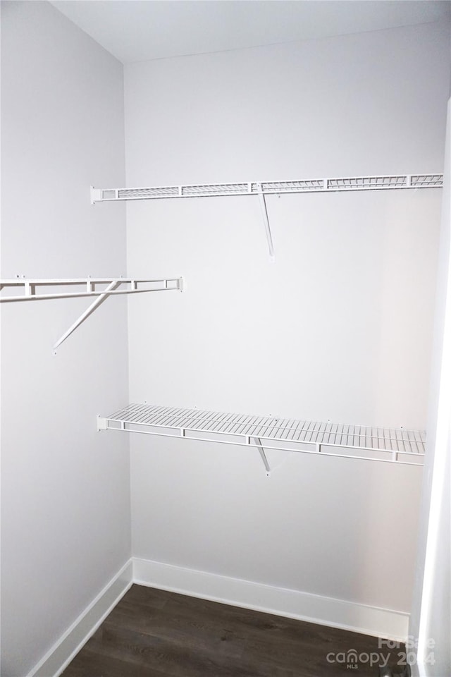 spacious closet with wood finished floors