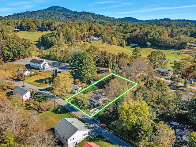 birds eye view of property featuring a mountain view