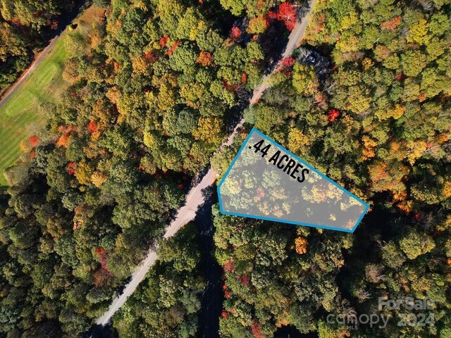 U09L046 Connestee Trl, Brevard, NC 28712 - photo 5