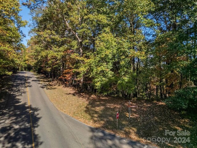 U09L046 Connestee Trl, Brevard, NC 28712 - photo 6