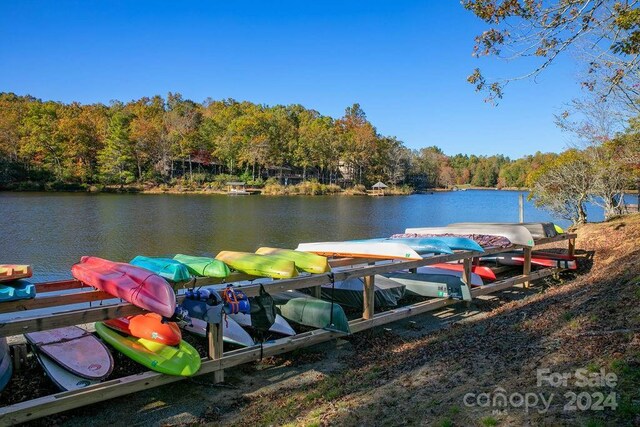 U09L046 Connestee Trl, Brevard, NC 28712 - photo 21