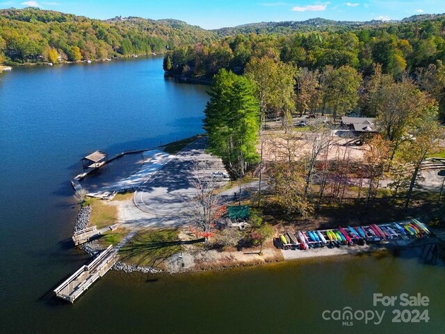 U09L046 Connestee Trl, Brevard, NC 28712 - photo 23