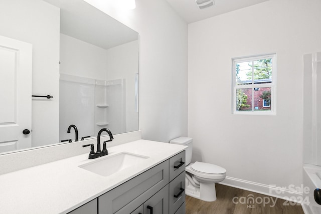 bathroom with vanity, wood-type flooring, and toilet