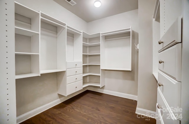 spacious closet featuring dark wood-type flooring