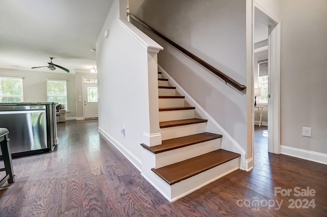 stairway featuring ceiling fan and hardwood / wood-style flooring