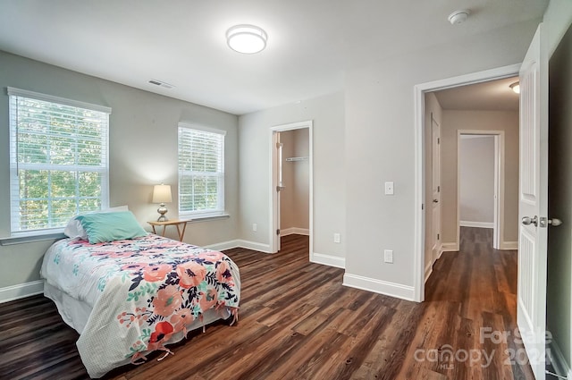 bedroom featuring a closet, multiple windows, a spacious closet, and dark hardwood / wood-style flooring