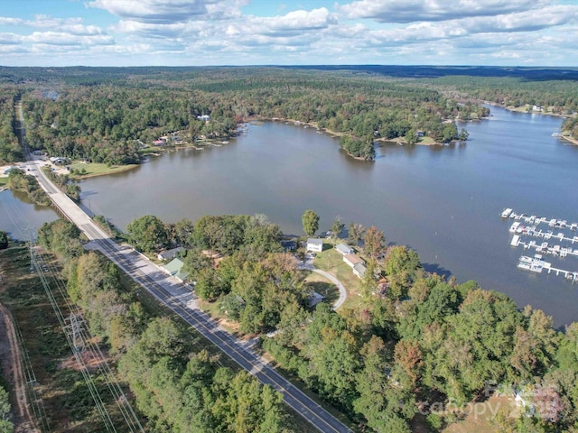 drone / aerial view with a water view and a view of trees