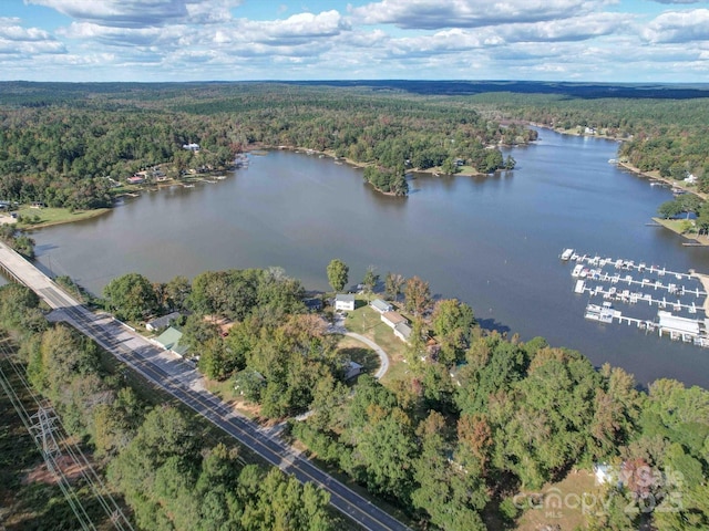 birds eye view of property with a forest view and a water view