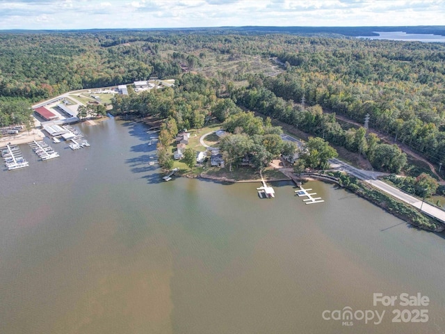 bird's eye view featuring a water view and a view of trees