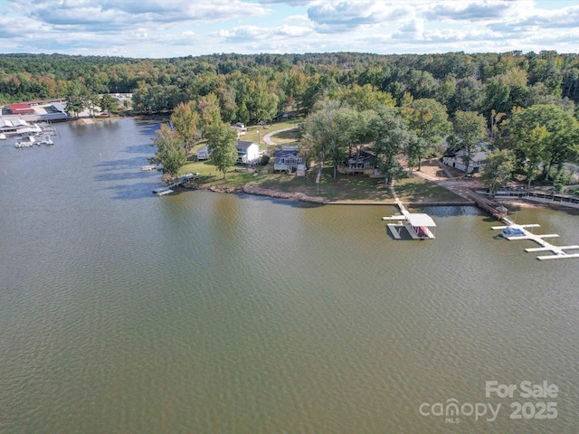 drone / aerial view with a water view and a wooded view