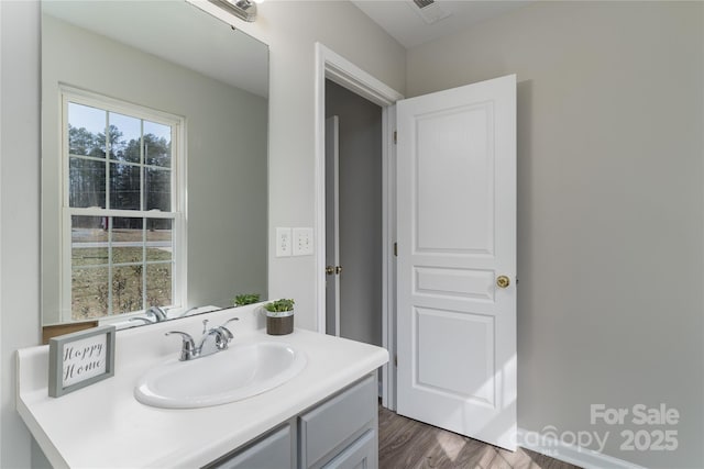 bathroom with vanity, a wealth of natural light, and hardwood / wood-style floors