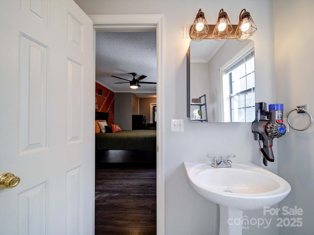 bathroom with connected bathroom, ceiling fan, wood finished floors, a textured ceiling, and a sink