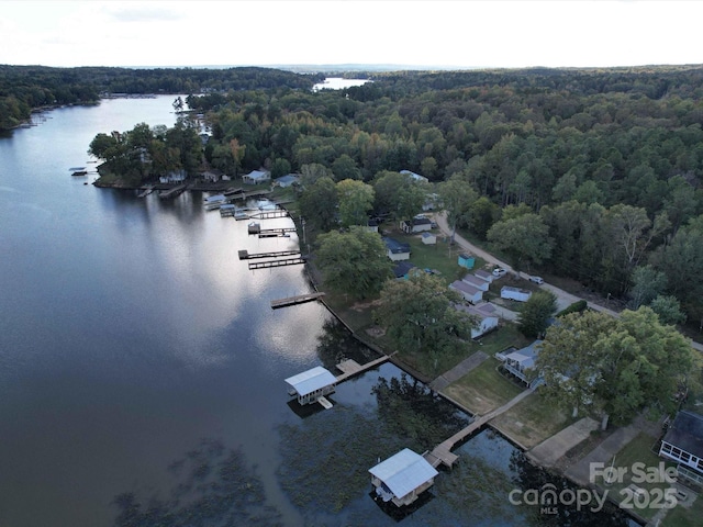 aerial view with a water view and a view of trees