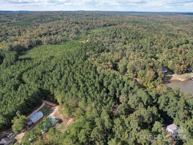2502 Arrowhead Rd, Liberty Hill, SC 29074 - photo 29