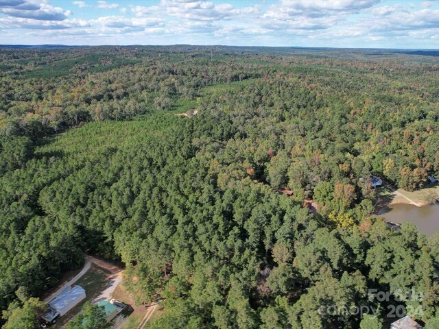 2502 Arrowhead Rd, Liberty Hill, SC 29074 - photo 30