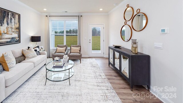 living room featuring crown molding and light hardwood / wood-style floors