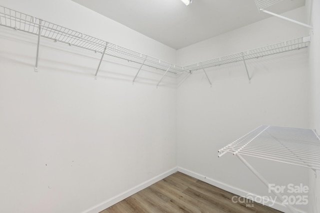 spacious closet with wood-type flooring