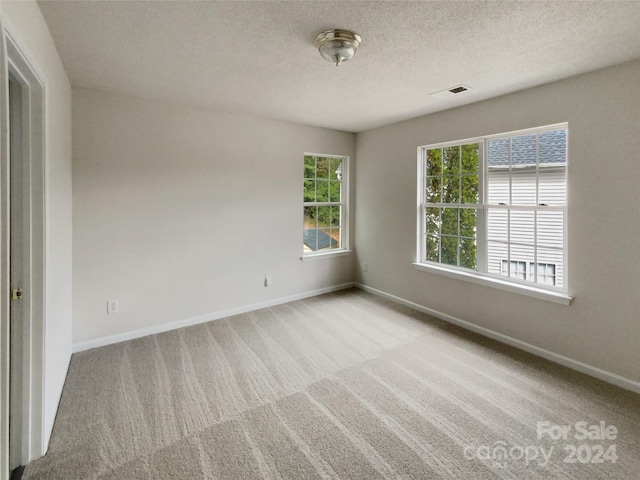 empty room featuring light carpet and a textured ceiling