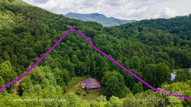 715 Anderson Creek Rd, Franklin, NC 28734 - photo 4