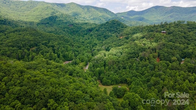 715 Anderson Creek Rd, Franklin, NC 28734 - photo 5