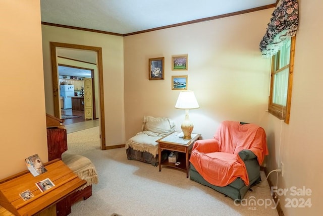 sitting room with ornamental molding and carpet floors