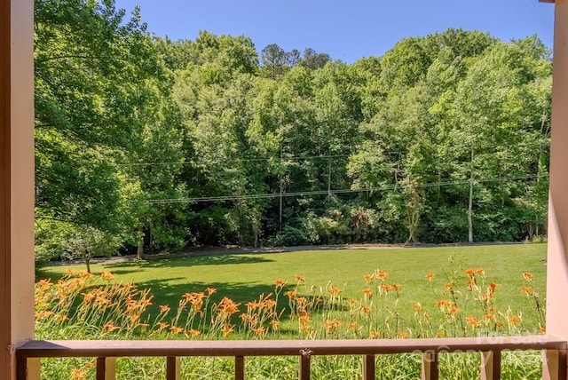 715 Anderson Creek Rd, Franklin, NC 28734 - photo 23
