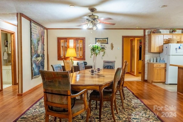 715 Anderson Creek Rd, Franklin, NC 28734 - photo 29