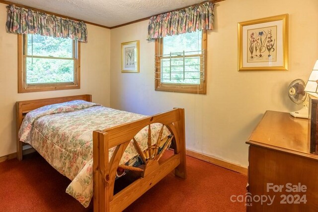 715 Anderson Creek Rd, Franklin, NC 28734 - photo 39